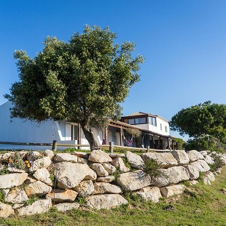 Hotel Monte Velho Retreat Centre Aljezur Zewnętrze zdjęcie