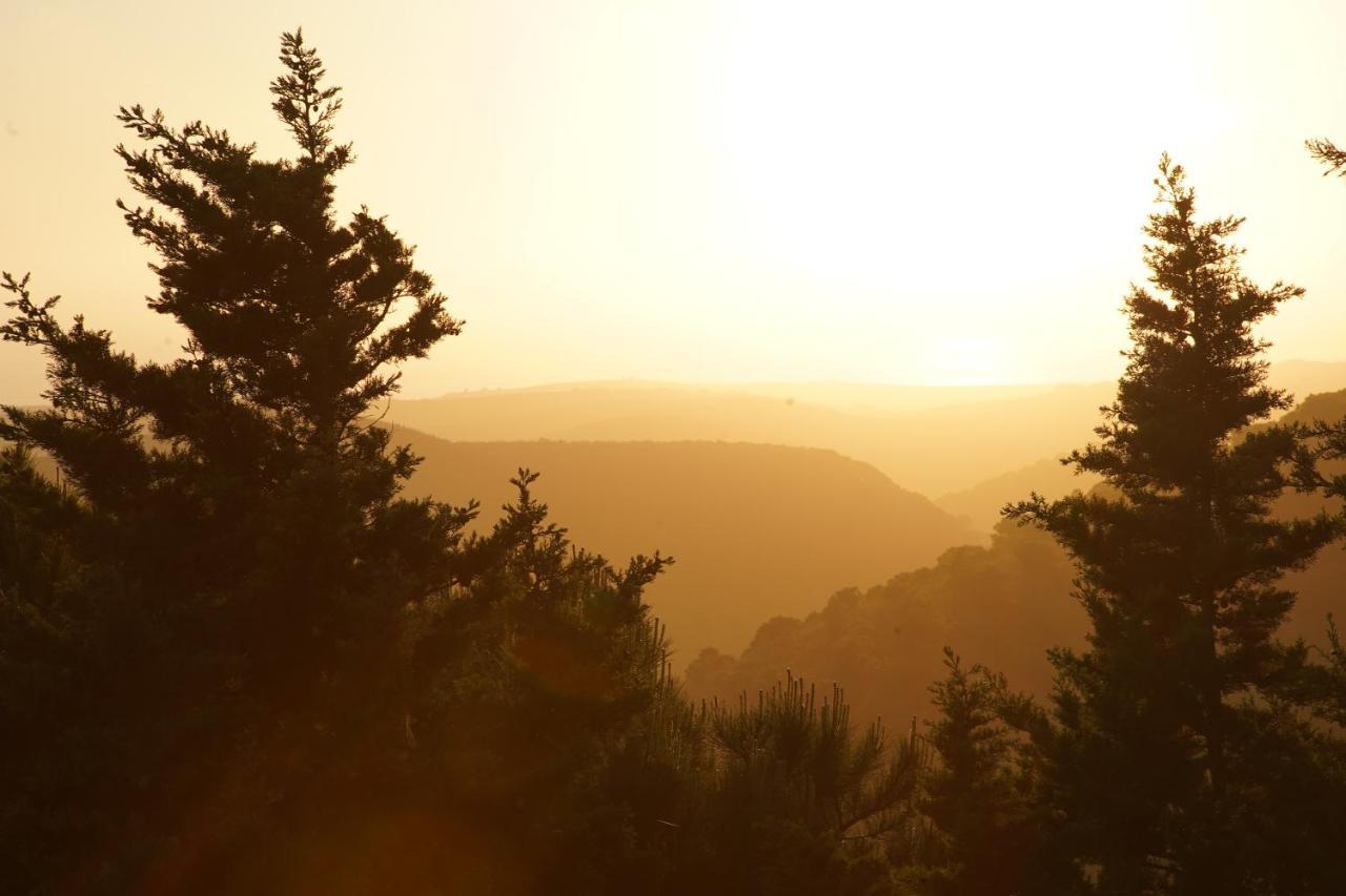 Hotel Monte Velho Retreat Centre Aljezur Zewnętrze zdjęcie